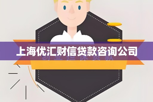 上海优汇财信贷款咨询公司