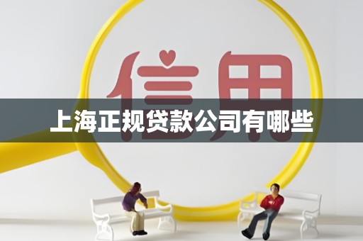 上海正规贷款公司有哪些