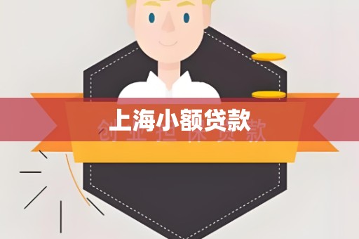 上海小额贷款
